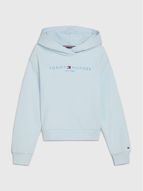 Buzo Essential con capucha y logo