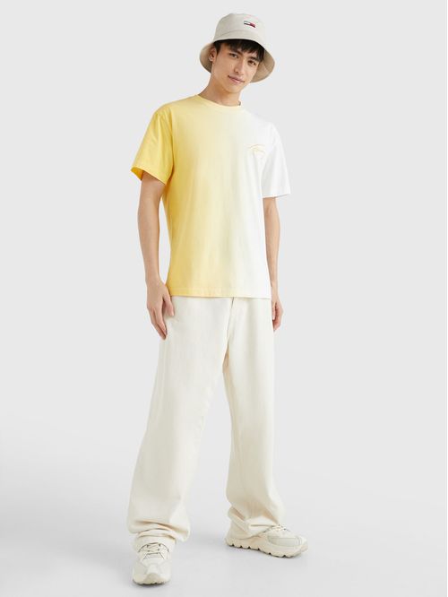 Remera de corte clásico con efecto degradé