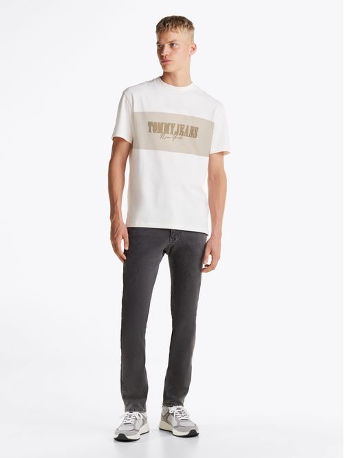 Remera de corte regular