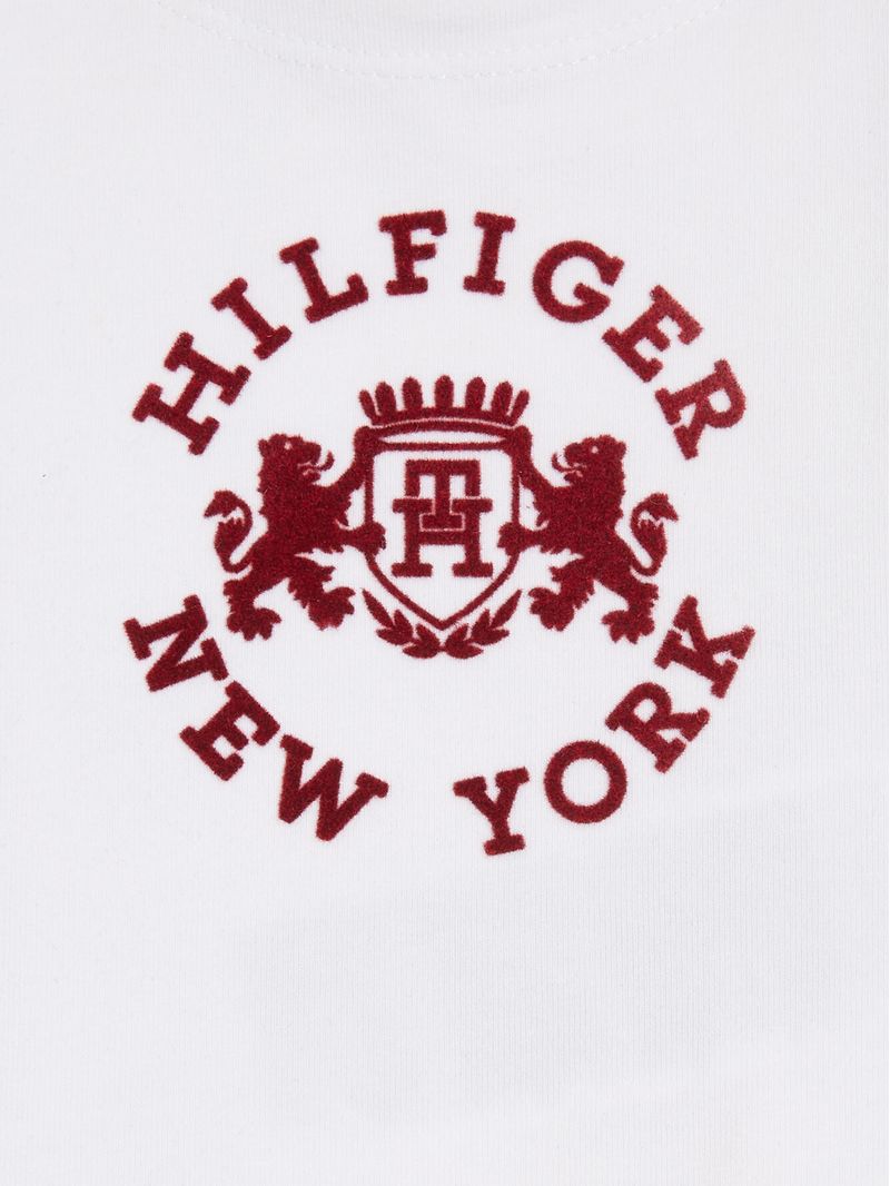 Remera-con-logo-de-estilo-universitario