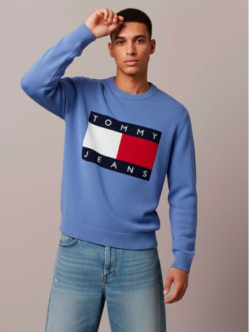 Sweater con logo regular fit